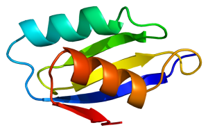 Protein_ATP7A_PDB_1aw0